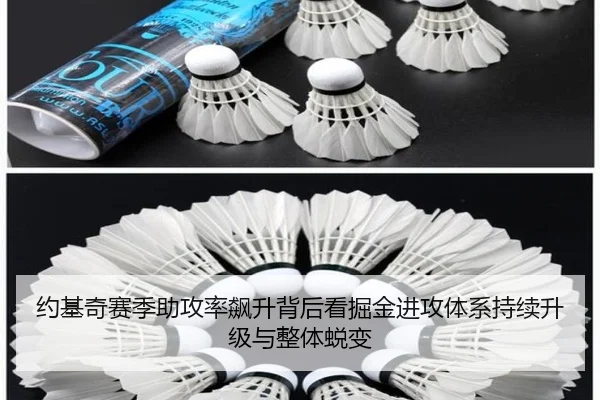 约基奇赛季助攻率飙升背后看掘金进攻体系持续升级与整体蜕变