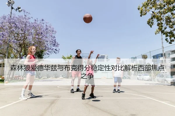 森林狼爱德华兹与布克得分稳定性对比解析西部焦点之争